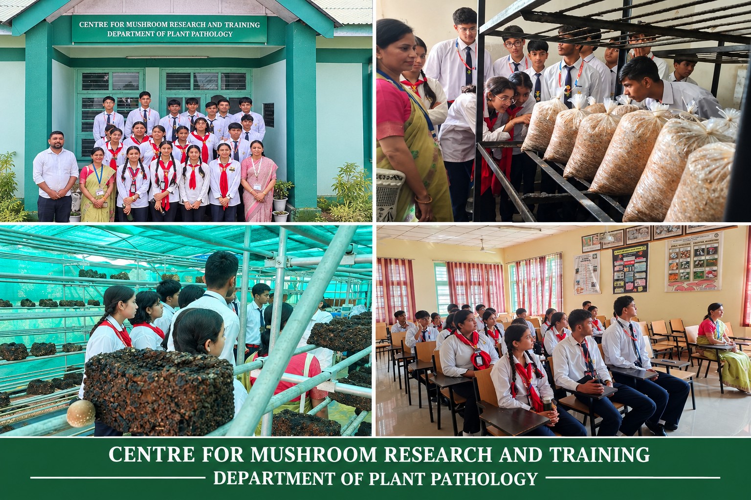 Educational Visit to Mushroom Research & Training Centre, CSKHPKV, Palampur
